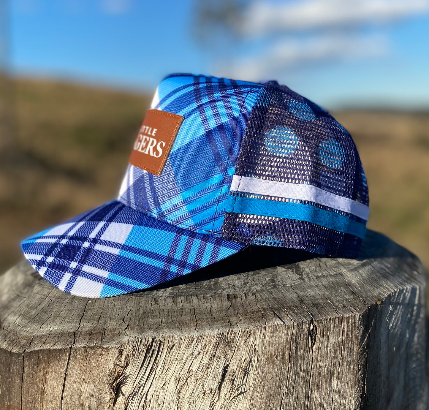 Blue and Pink Plaid Trucker Caps