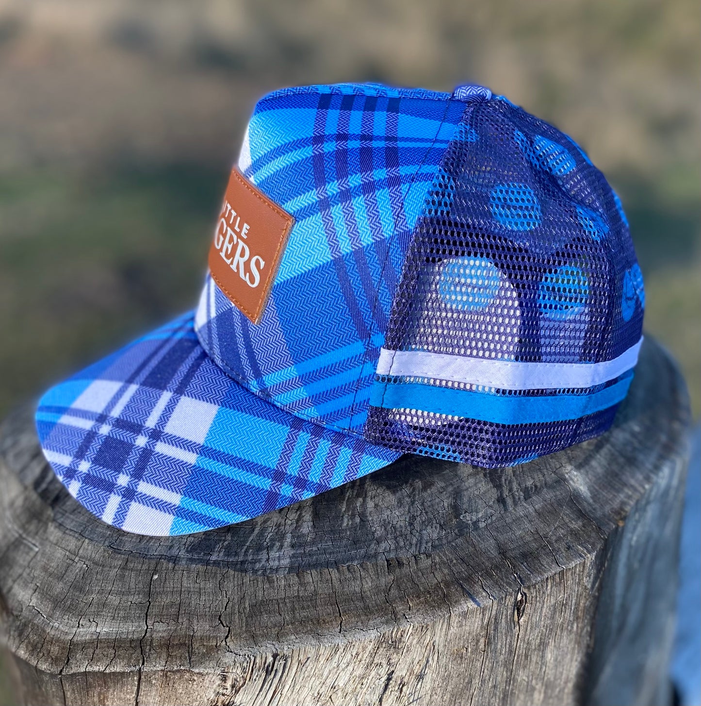 Blue and Pink Plaid Trucker Caps